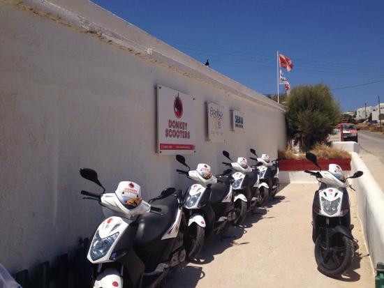 Donkey Scooters