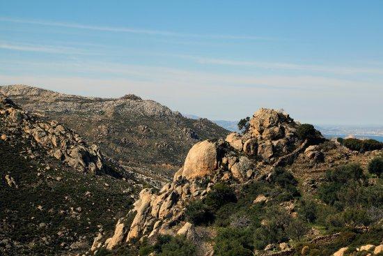 Naxos Discovery Private Guided Tours