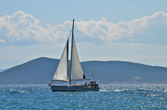 Aegean Sailing School