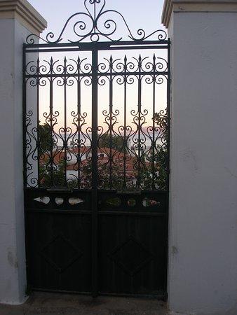 Skopelos Walks