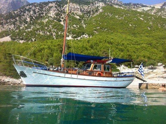 Fedra Cruises