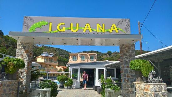 Iguana Pool Bar