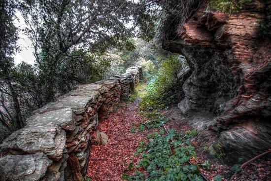 Trekking Andros & Outdoor Activities