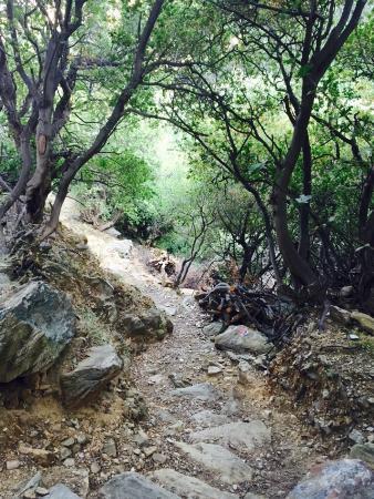 Andros Routes