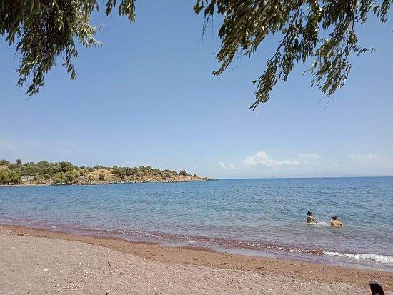 Tsonia Beach