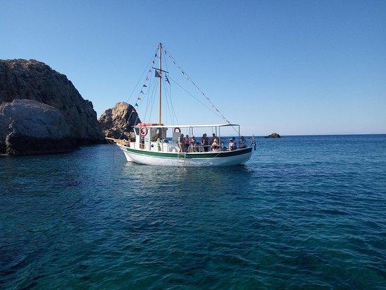 Sparos Daily Cruises