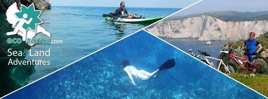 EcoZante