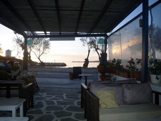 Selini Bar