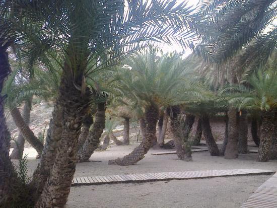 Elena on Crete