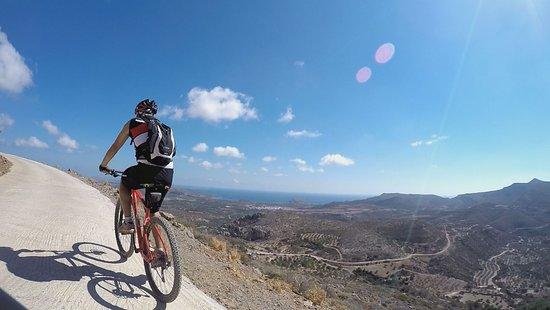 Freak Mountainbike