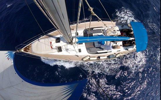 The Thalassa Project