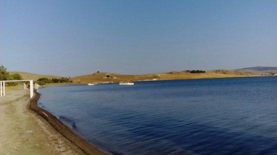 Paralia Lichnon