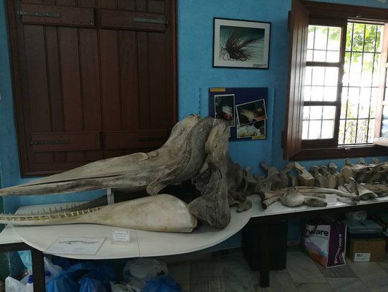 Natural History Museum of Apiranthos