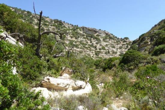 Agion Panton Faneromenis Gorge