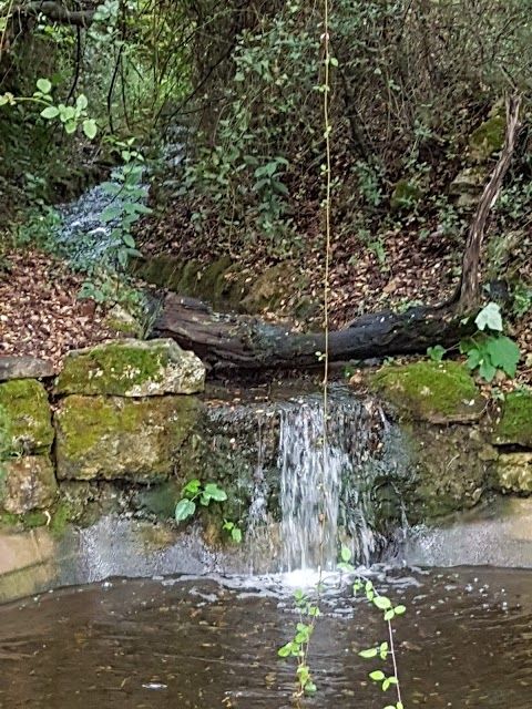 Botanical garden