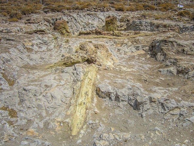Petrified Forest park of Sigri