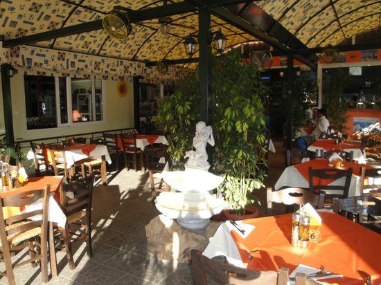 Dama Dama Taverna