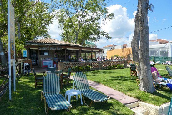 Freddies Beach Bar