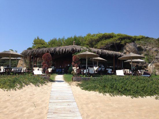 Tropicana Beach Bar