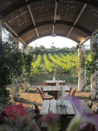Ambelonas Corfu