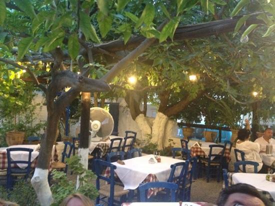 Avli Taverna