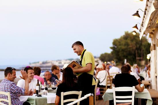 The Olive Tree