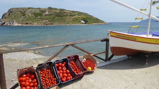 Taverna to Bogazi