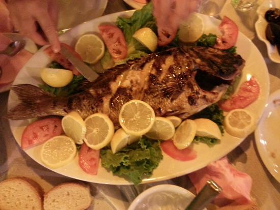 Taverna Alkyoni