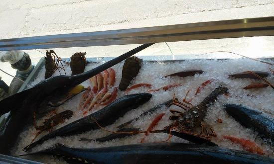 Nautilus Sea Food Restaurant