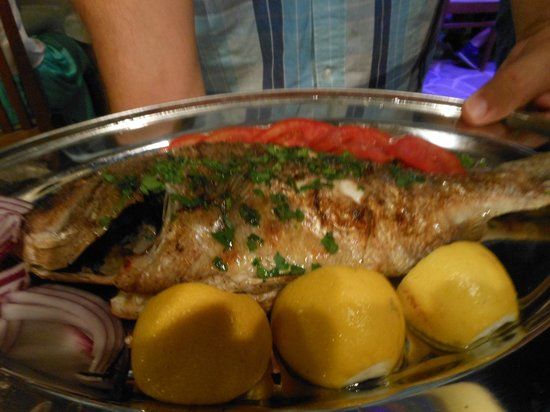 Korali Taverna