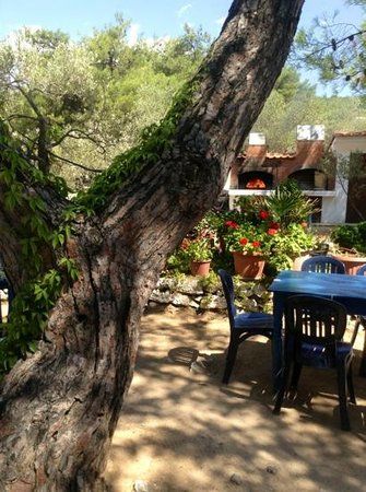Skidia Tavern Kekes Beach