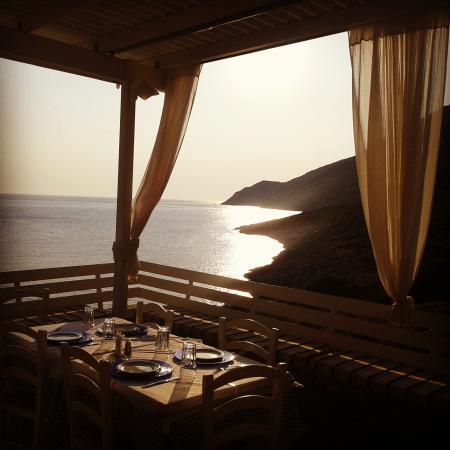 Delfini Restaurant