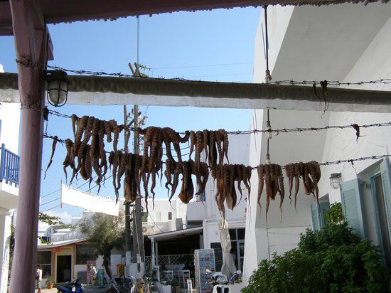 Zorbas