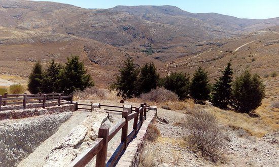 Petrified Forest of Lesbos