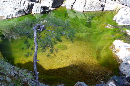 Pessa Springs