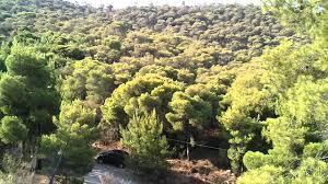 Paralia Mple Limanaki
