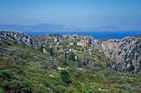 Palaiochora
