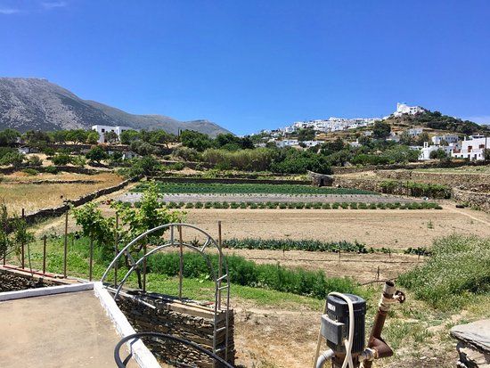 Narlis Farm