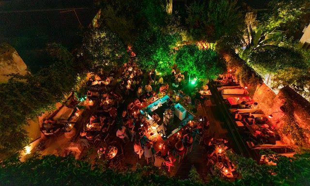 Ali Vafi's garden