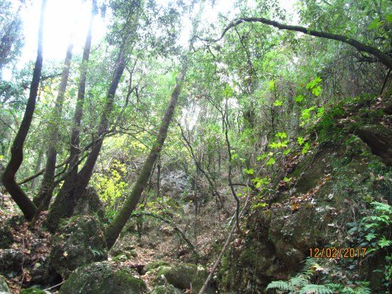 Boriana Gorge