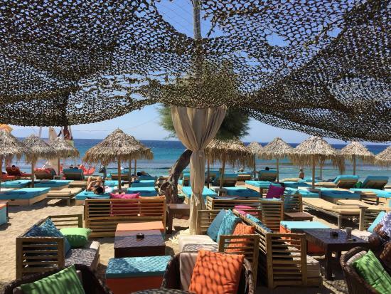 Paradise Lounge